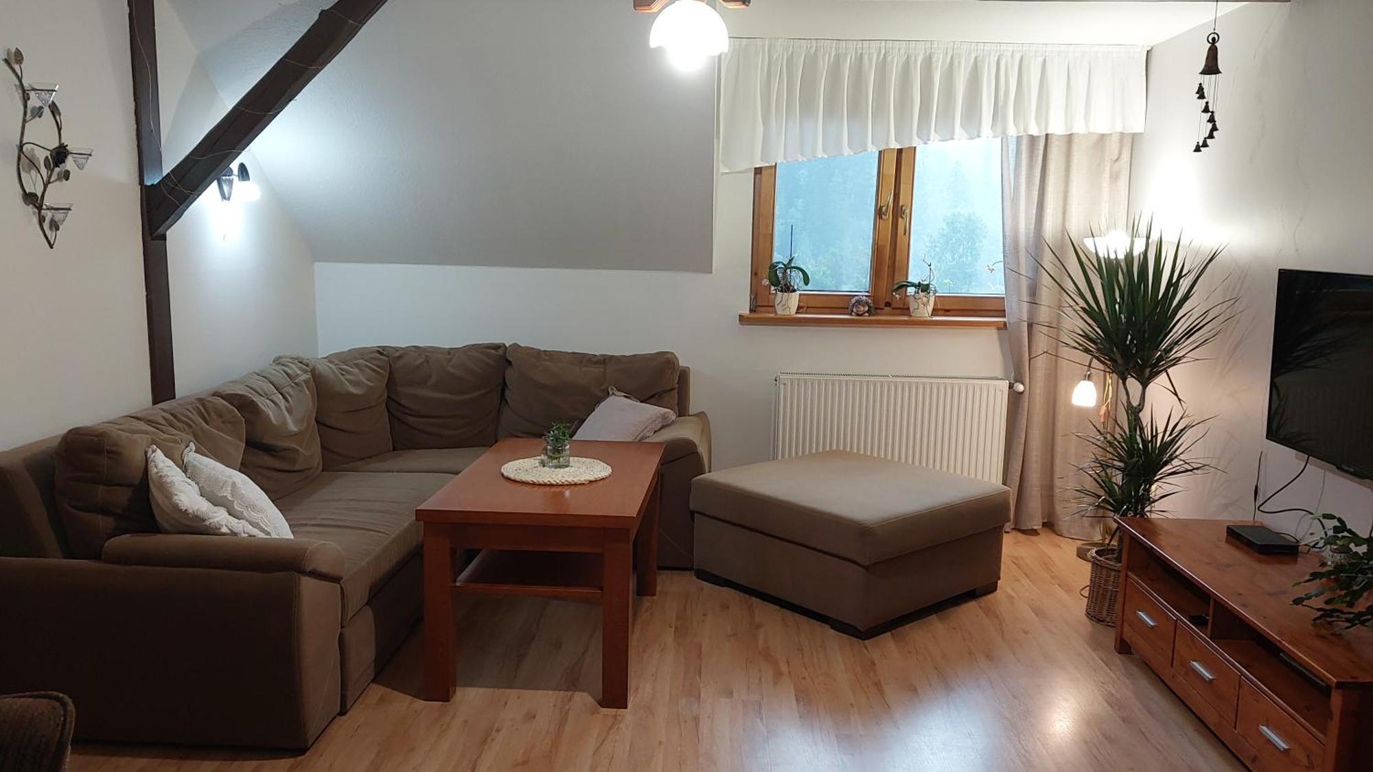 Agroturystyka Jelenia 维斯拉 外观 照片