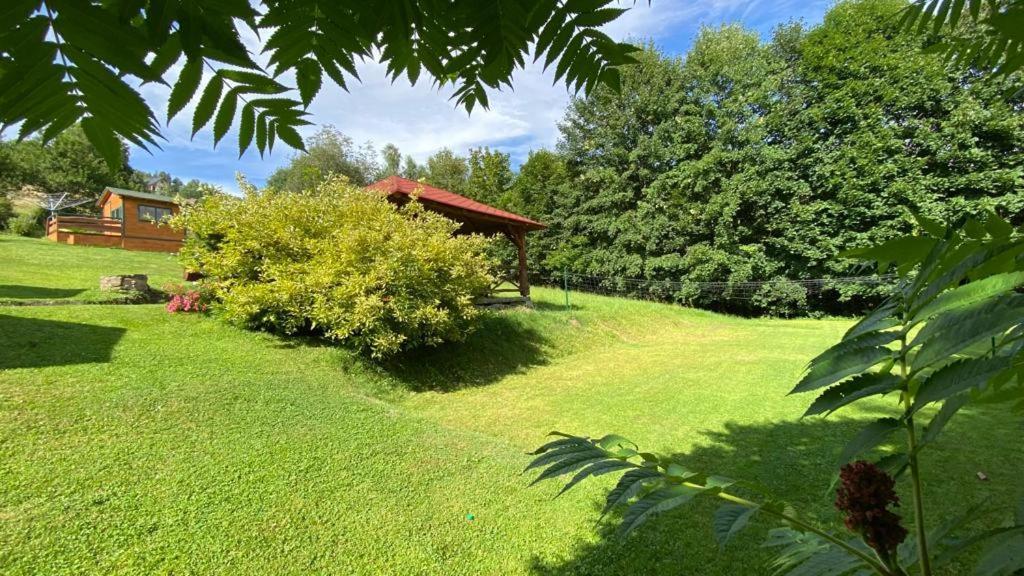 Agroturystyka Jelenia 维斯拉 外观 照片
