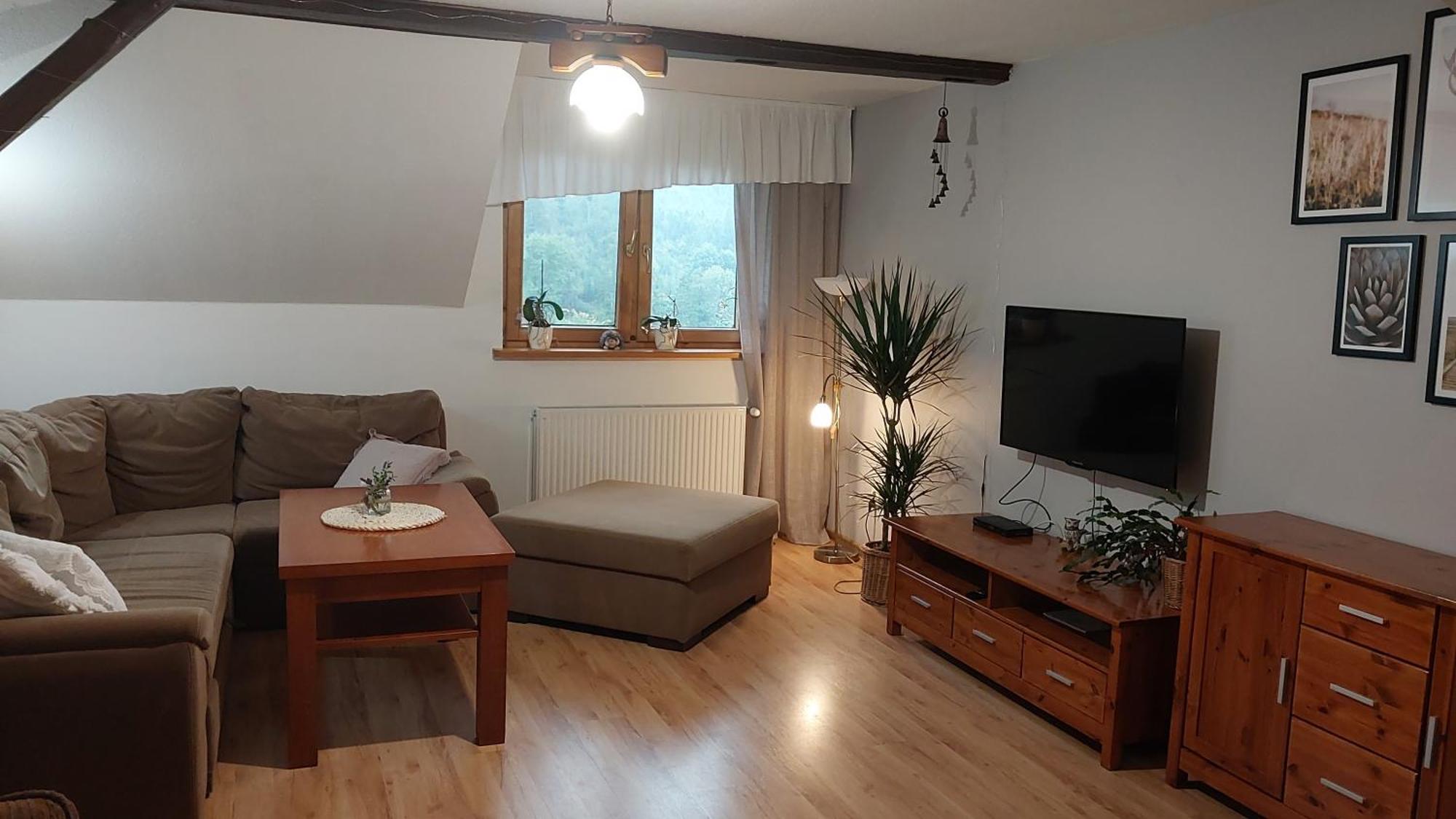 Agroturystyka Jelenia 维斯拉 客房 照片