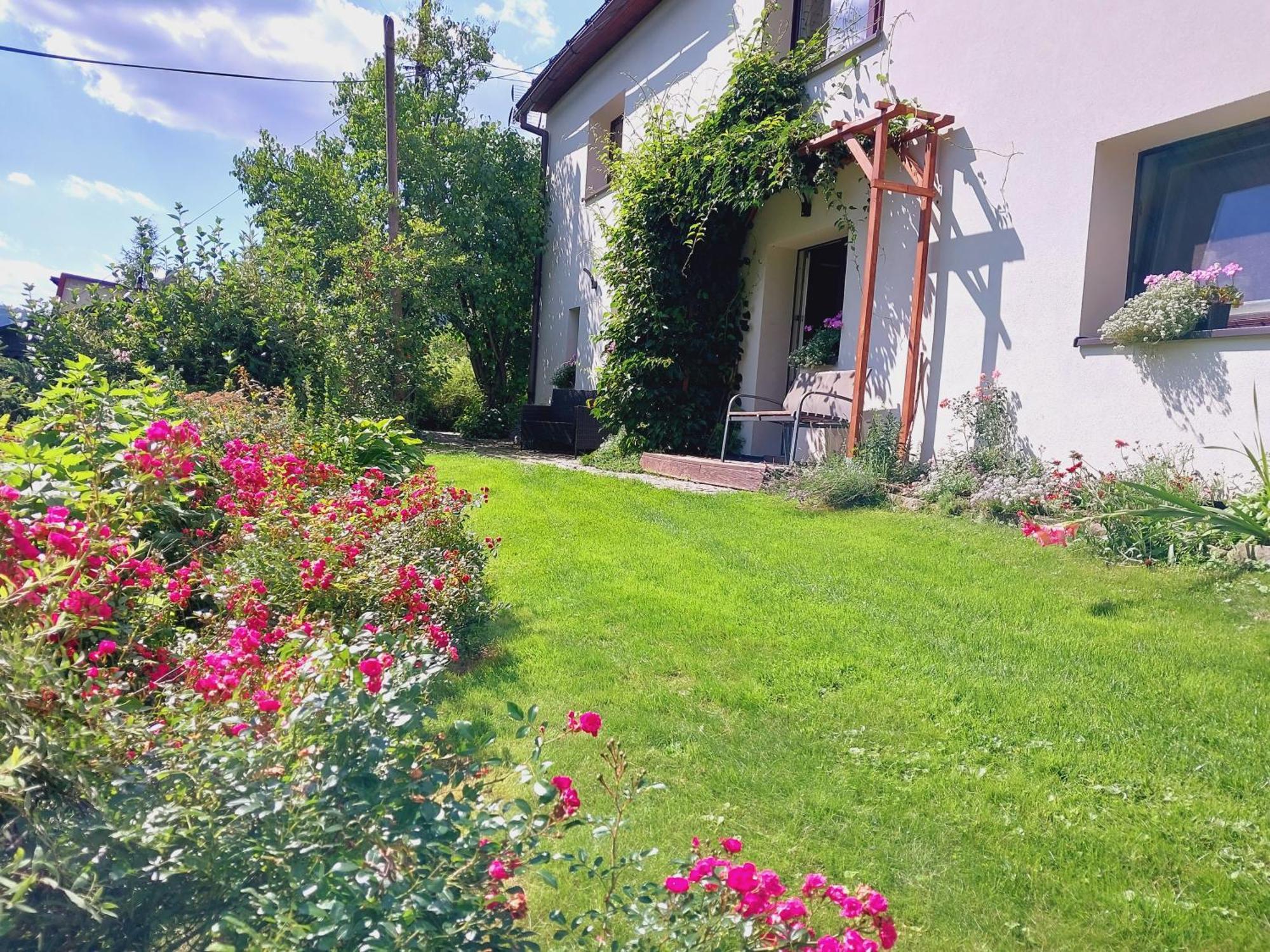 Agroturystyka Jelenia 维斯拉 客房 照片